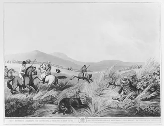 Cazadores de jabalíes encontrándose, por sorpresa, con una tigresa y sus cachorros, grabado por H. Merke después de un diseño original del Capitán Thomas Williamson, publicado por Edward Orme